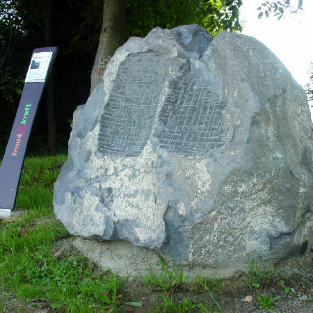 Vergr&ouml;&szlig;erte Darstellung